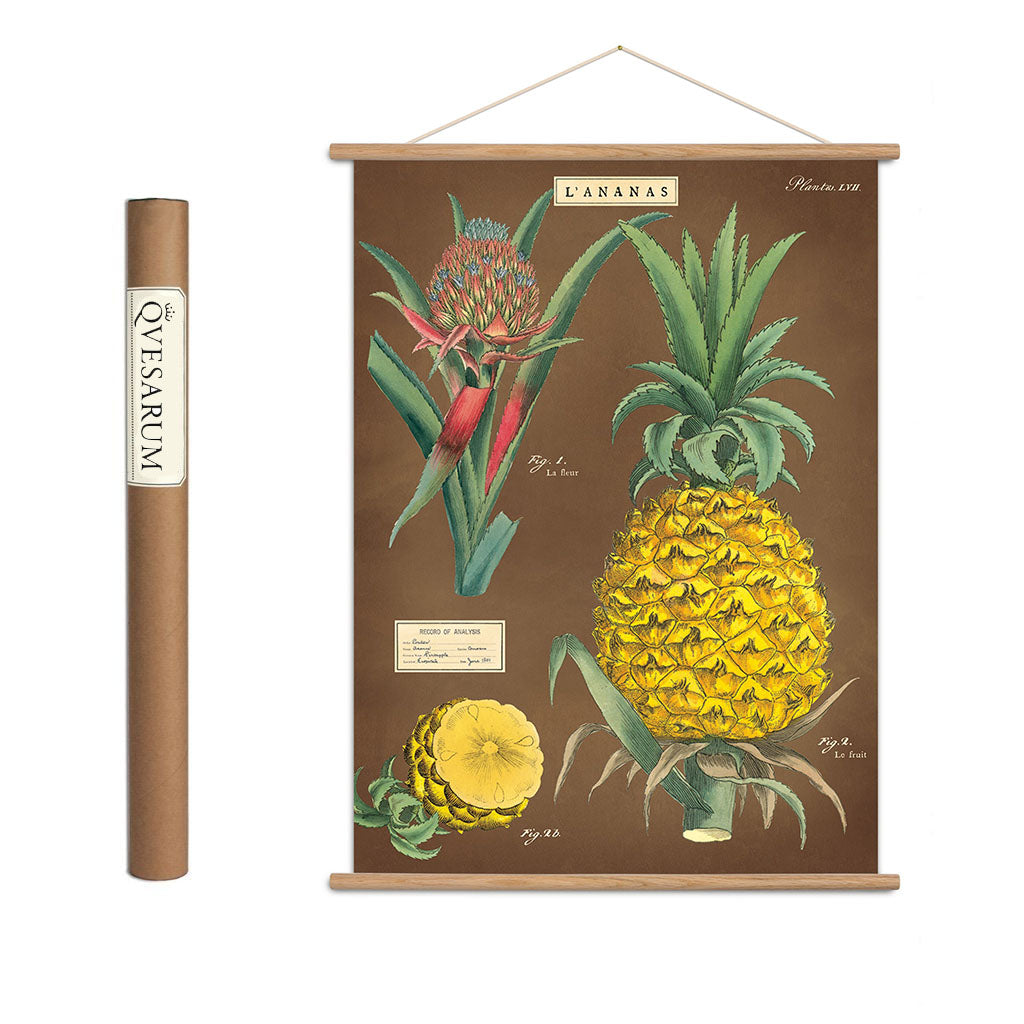 Vintage poster kit ’Pineapple’