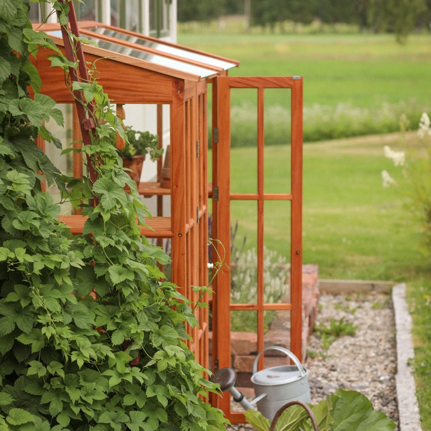 Väggväxthus oljad mahogny