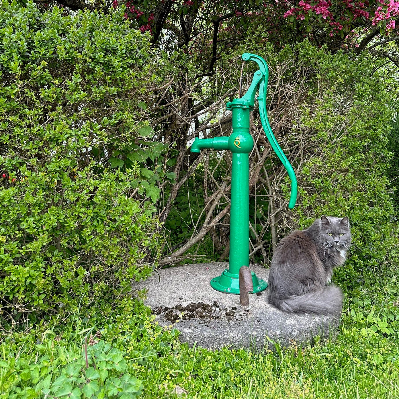 Gårdspump Grön manuell pump