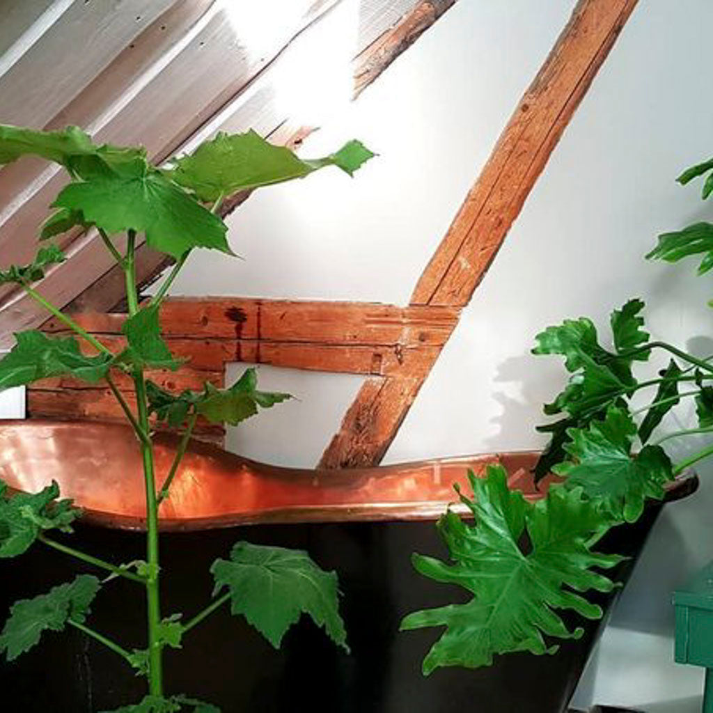 Kobberbadekar Häckeberga