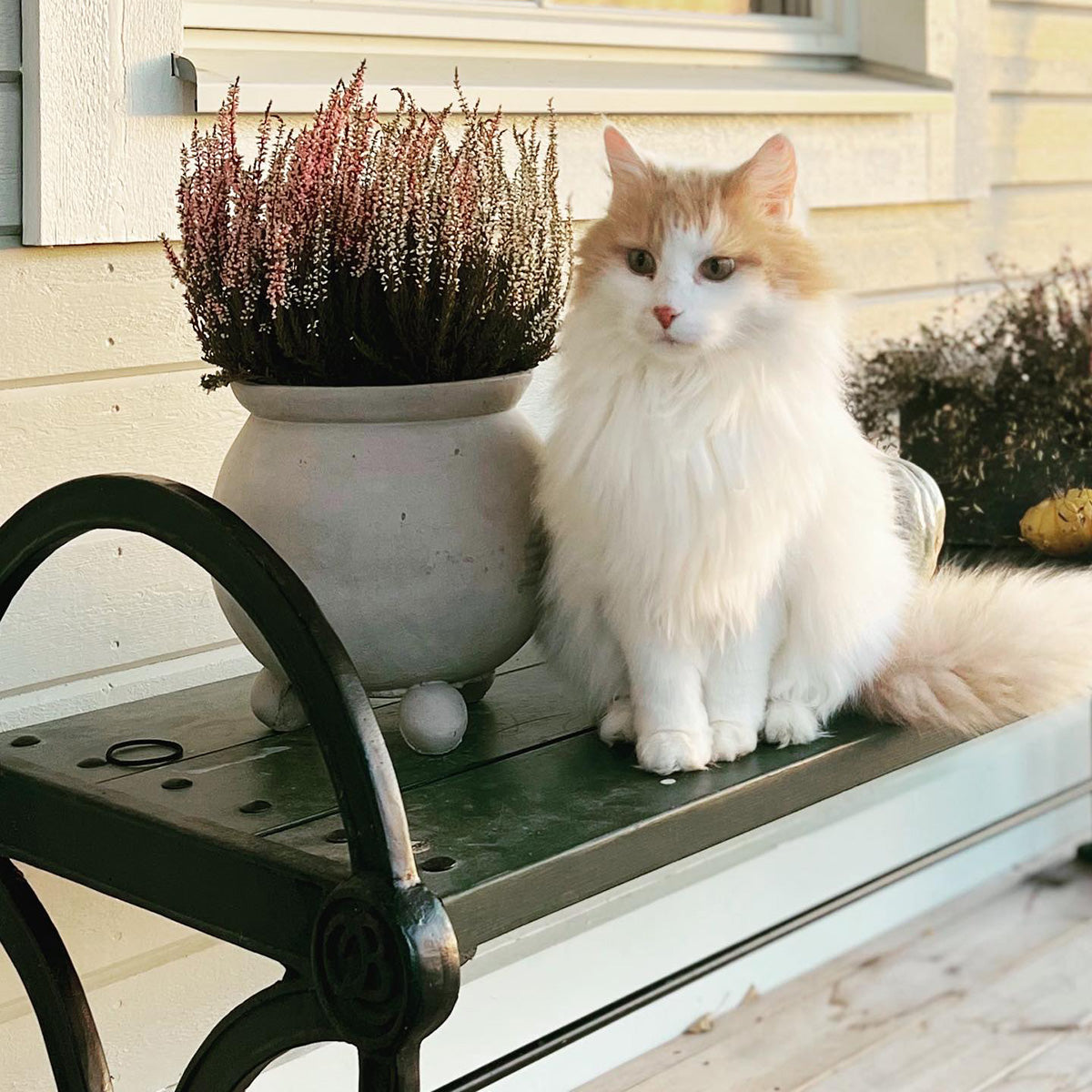 Movitz Havebænk Vogngrøn