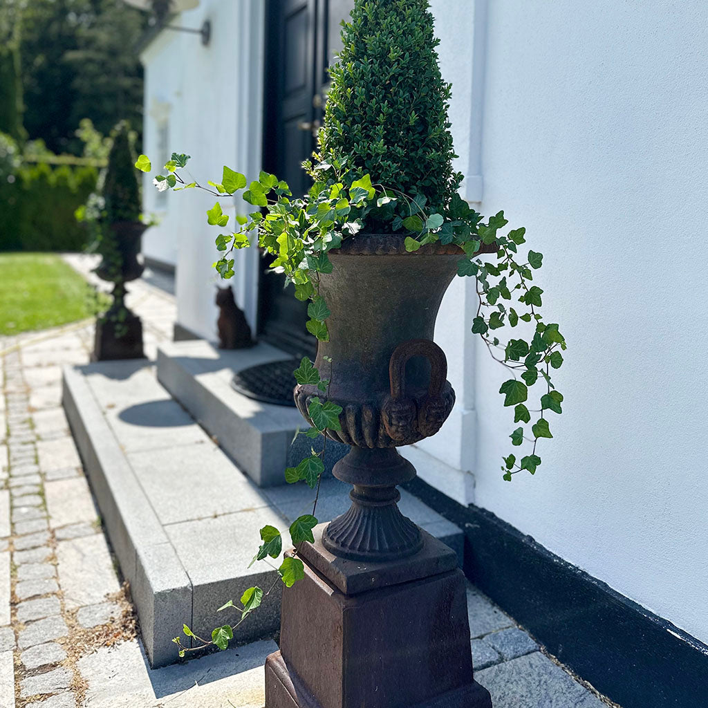 Dorchester-urne Støbejern