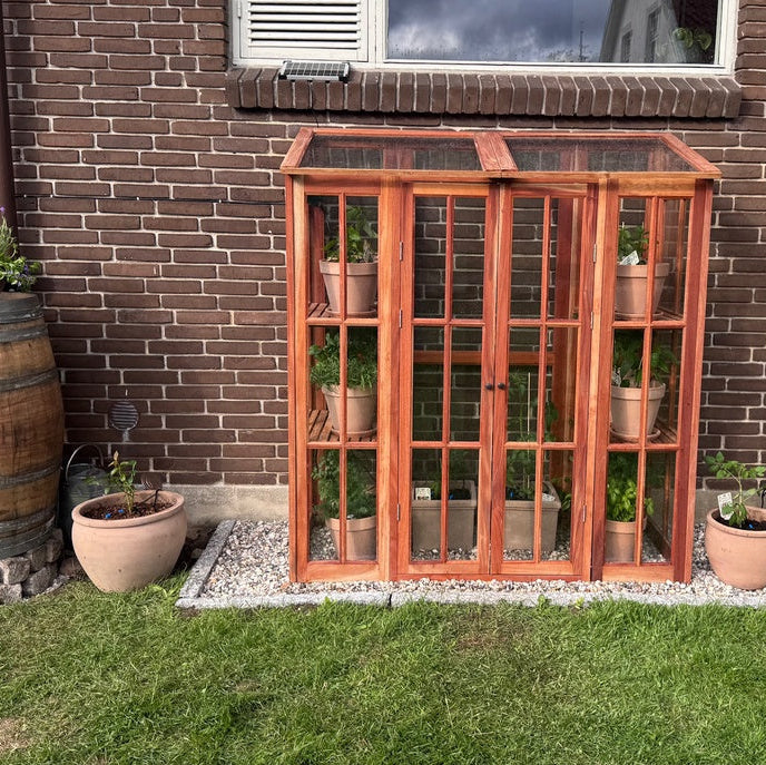 Wandgewächshaus Mahagoni geölt
