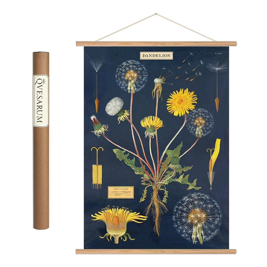 Vintage poster kit maskros 'Dandelion'