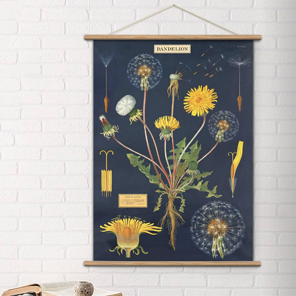 Vintage plakatophæng i teak