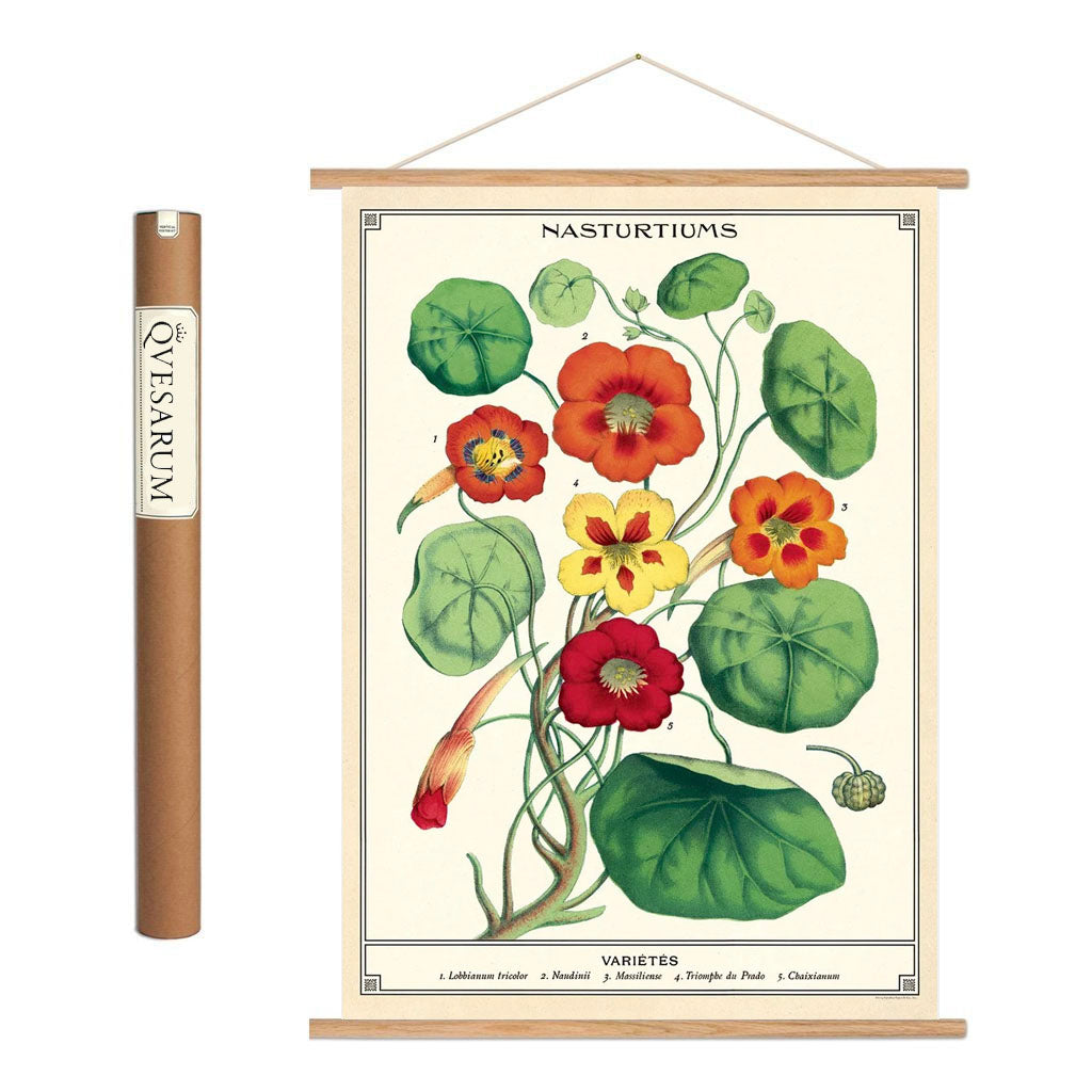 Vintage poster kit 'Nasturtiums'