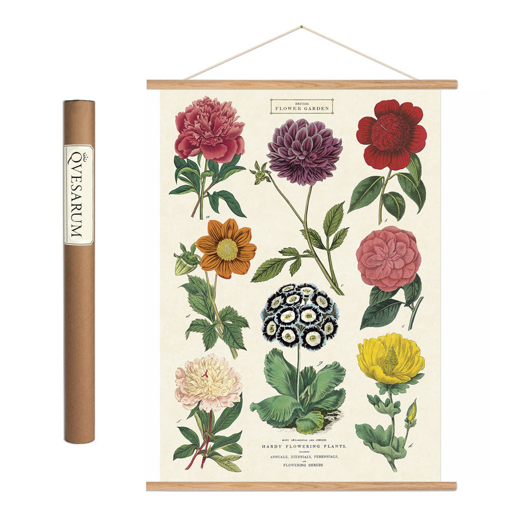 Vintage poster kit 'Botany II'