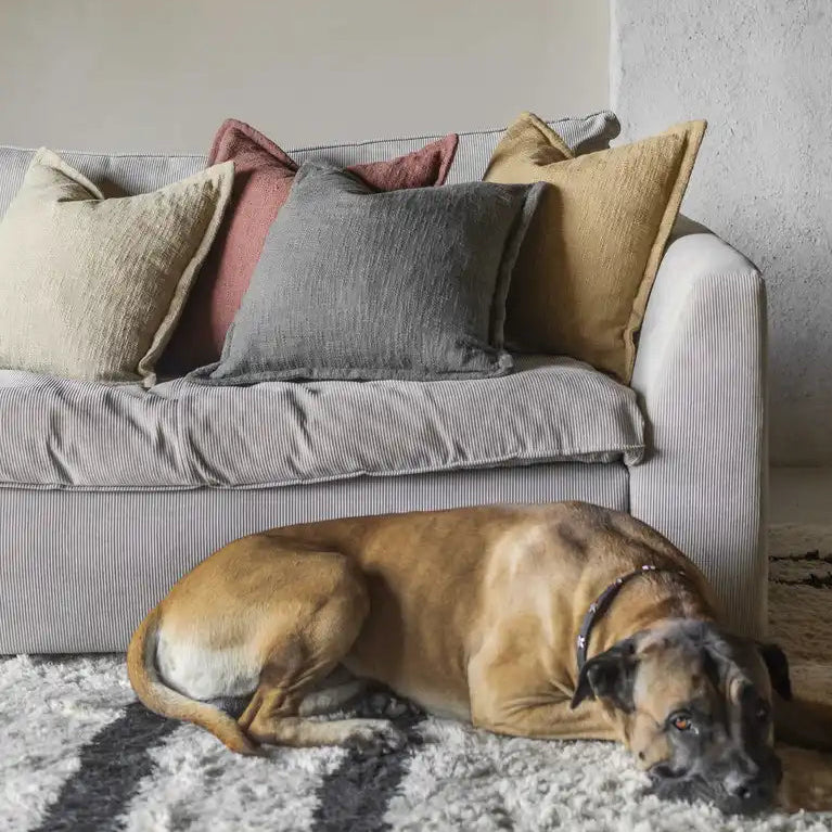 Romano Kuddfodral Gustav Ovland Beige/Vass
