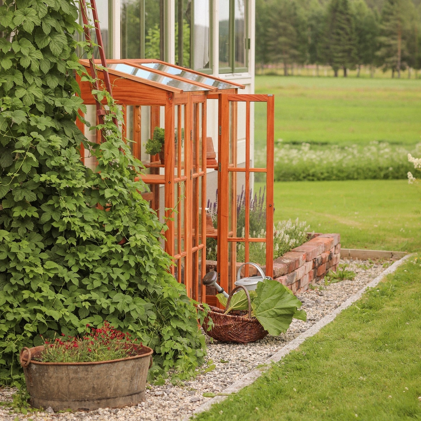 Väggväxthus i mahogny från Qvesarum med öppen dörr mot trädgården
