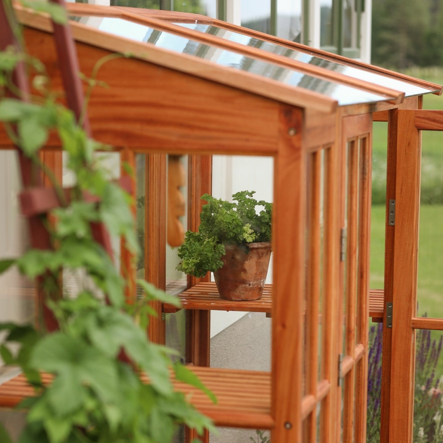 Detaljbild av spröjsat väggväxthus i mahogny från Qvesarum