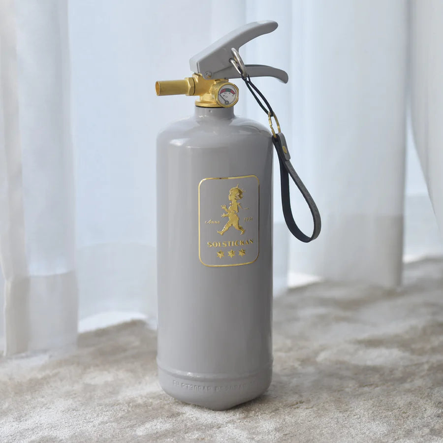 Pulverslukker Solstickan grå/guld 2 kg