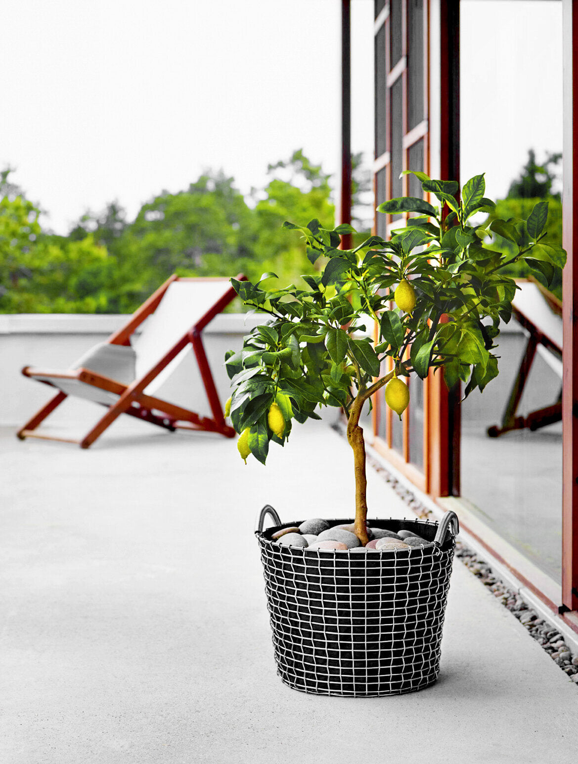 Trådkurv Korbo Classic 24L - Galvaniseret