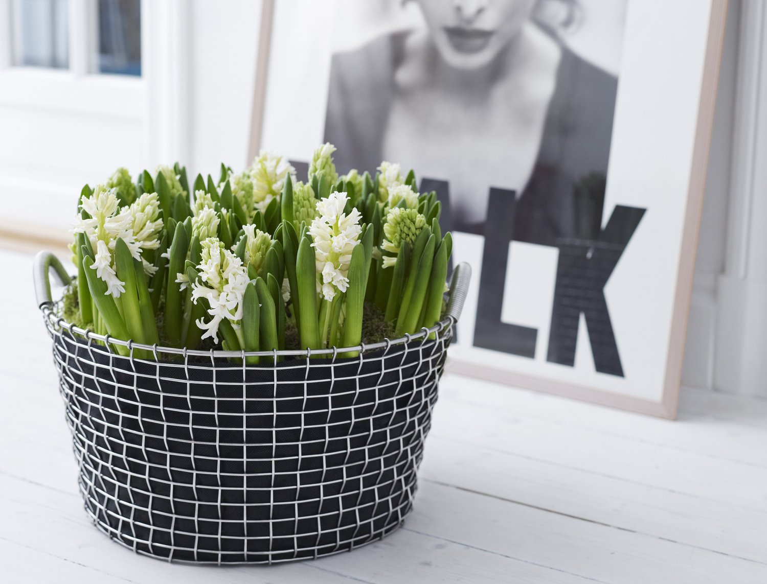 Trådkurv Korbo Classic 35L - Galvaniseret