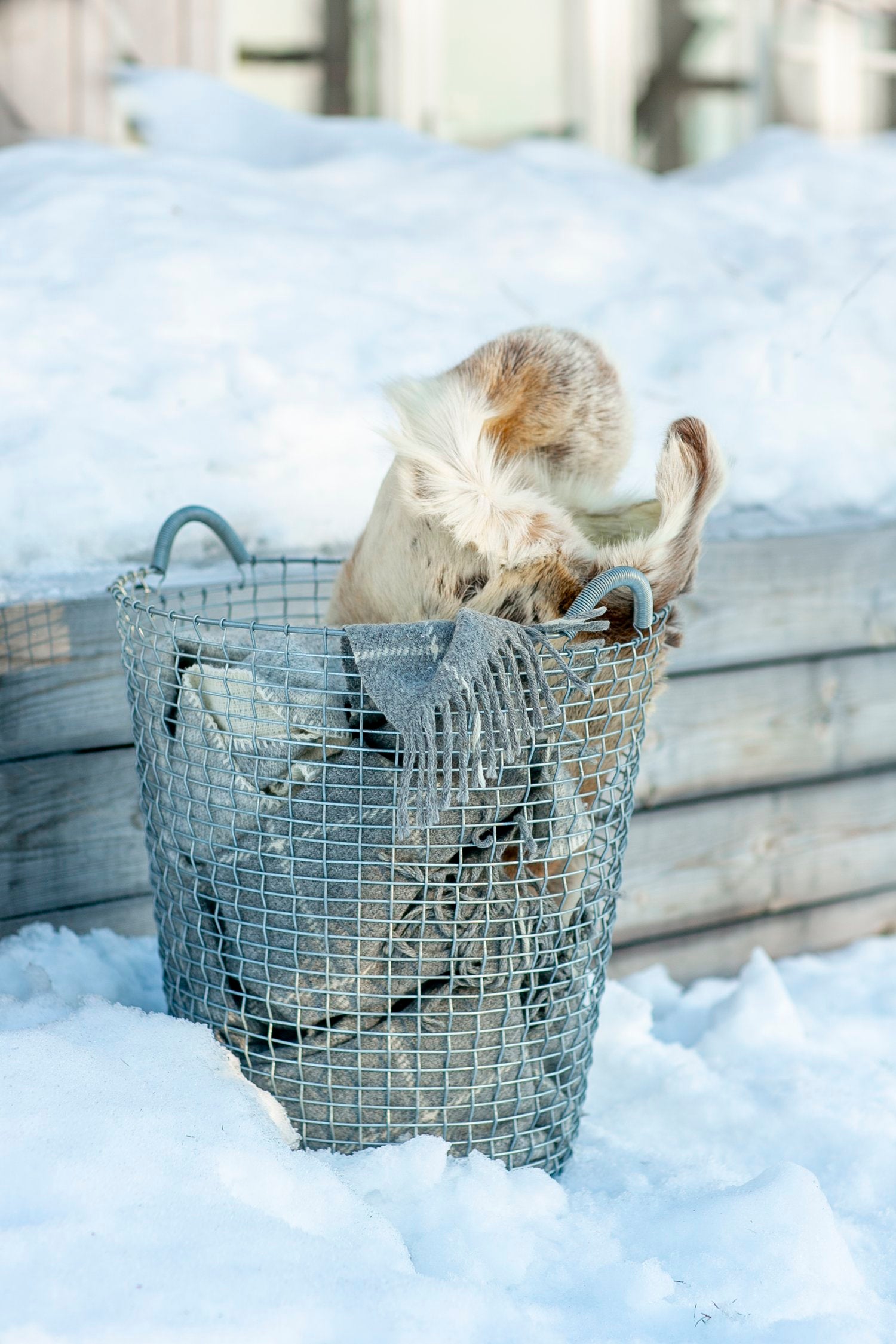 Trådkurv Korbo Classic 80L - Galvaniseret