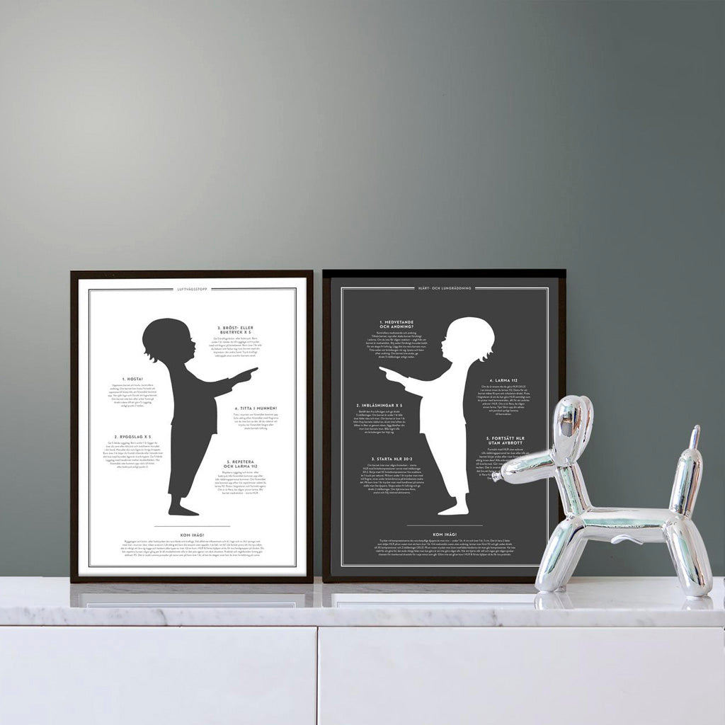 Plakat Karin & Johan "The life