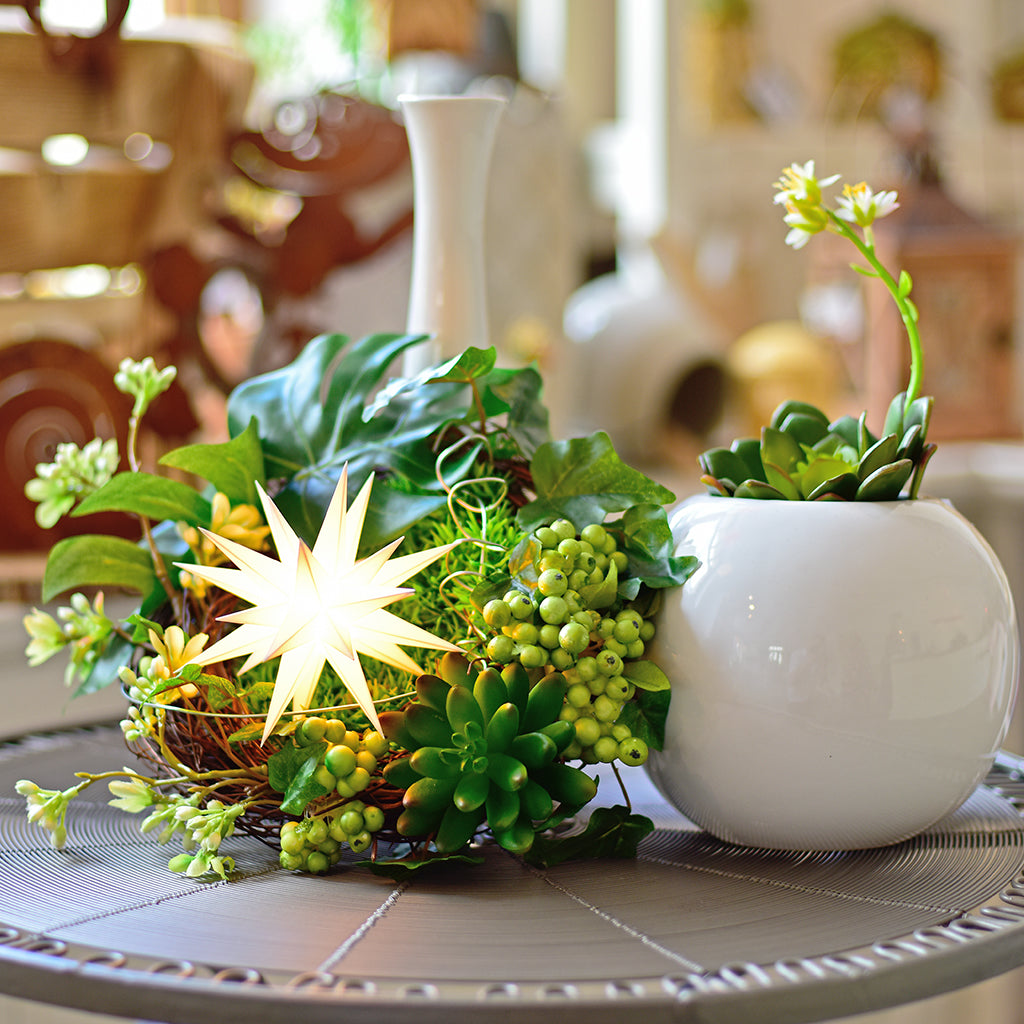 liten julstjärna vit på dekarationsfat med grön blomma