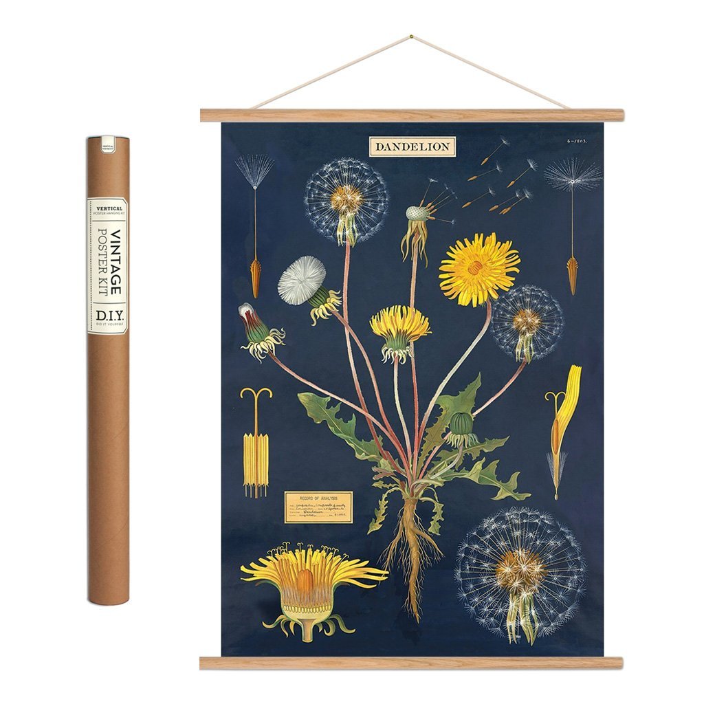 Vintage plakatkit mælkebøtte 'Mælkebøtte