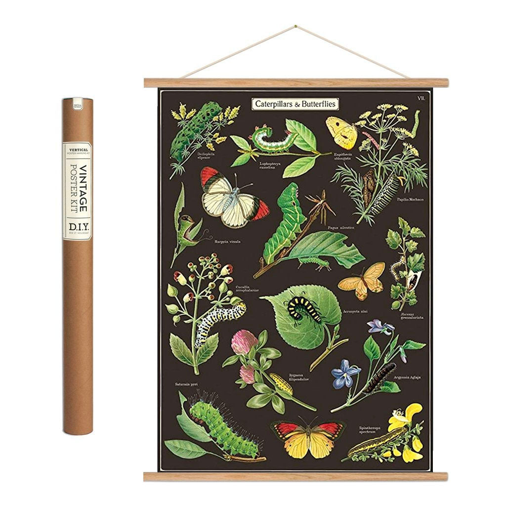 Vintage poster kit ’Caterpillars & Butterflies’