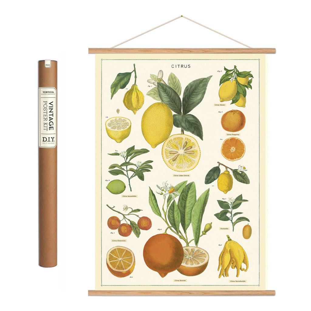 Vintageplakat Sæt 'Citrus'