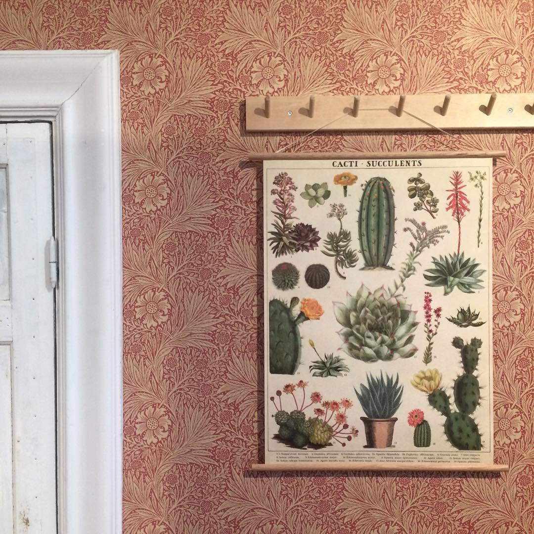 Vintage plakatsæt 'Sukkulent'