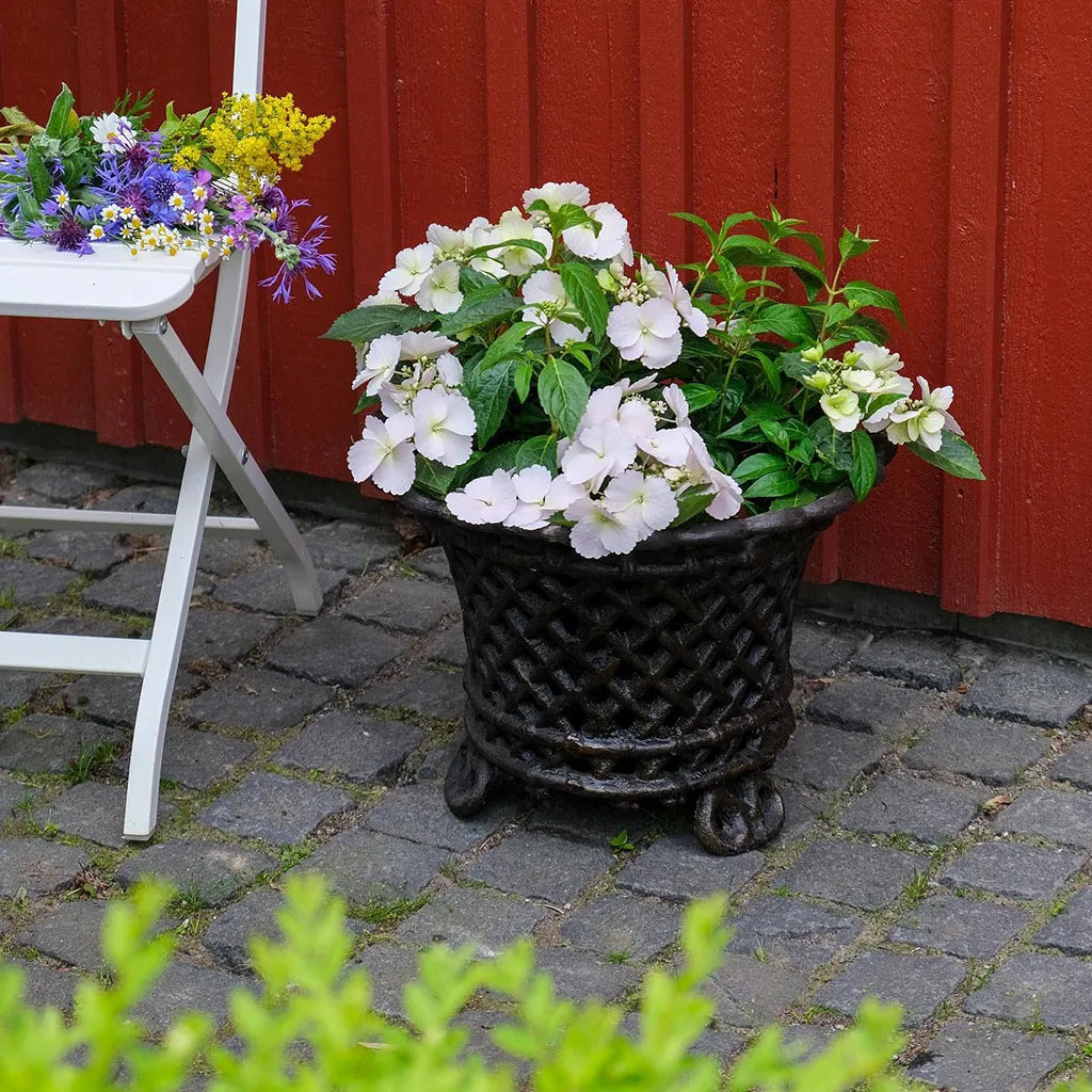 Perforeret Urne Lille