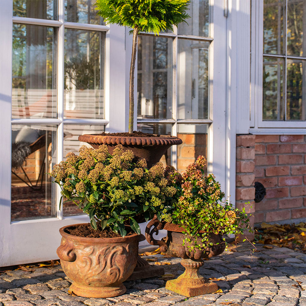 Støbejernsurne Fransk