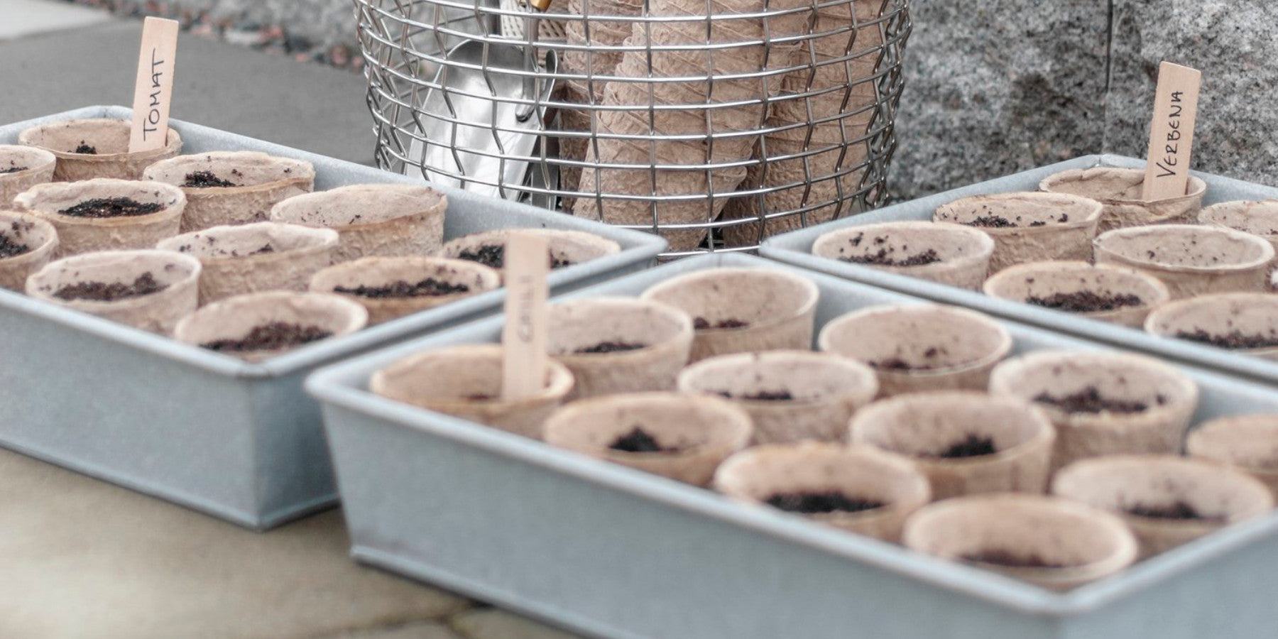 Förbered ditt orangeri inför odlingssäsongen