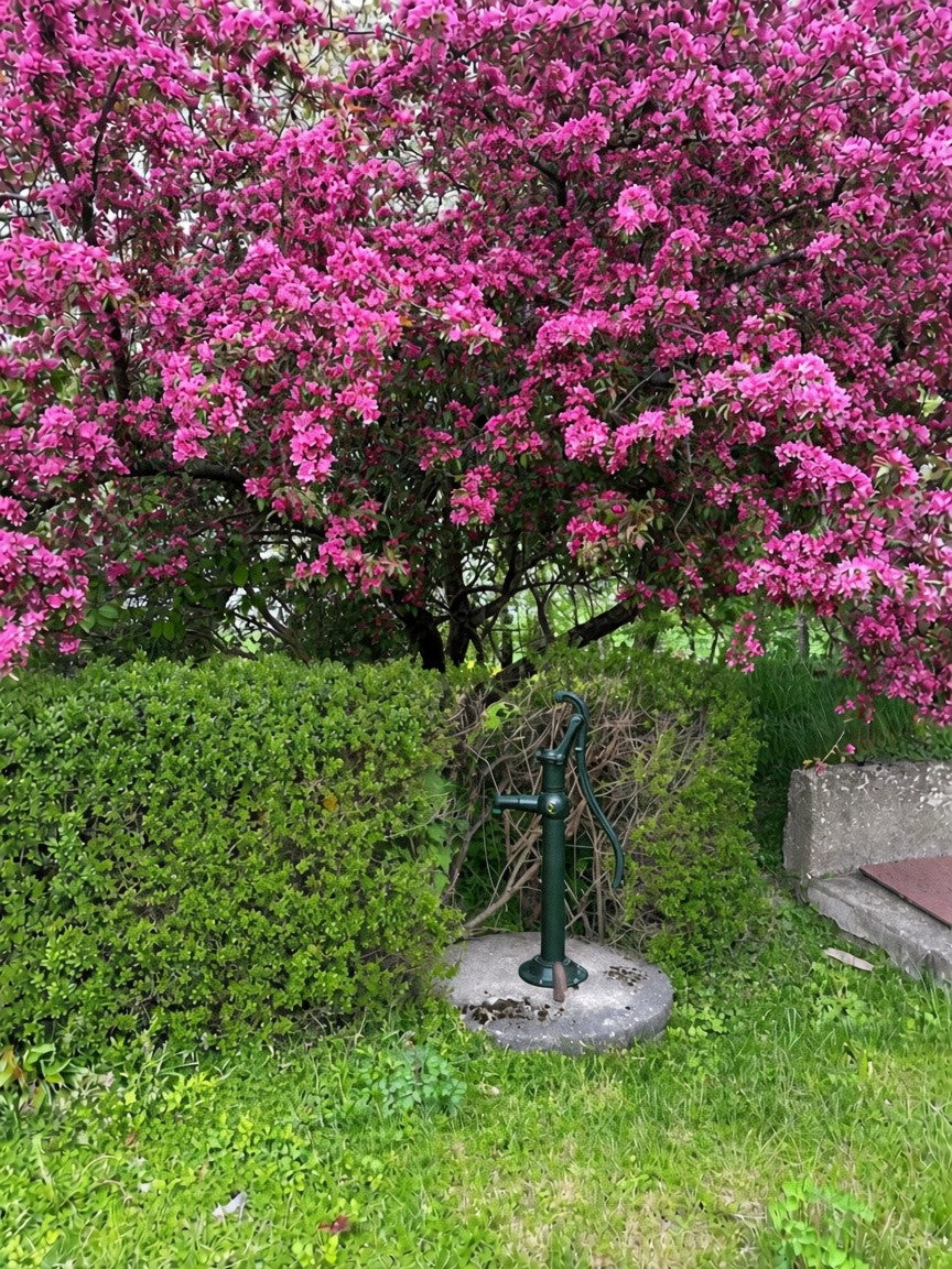 Manuelle Hofpumpe aus Gusseisen für Brunnen und Tank - Qvesarum grün