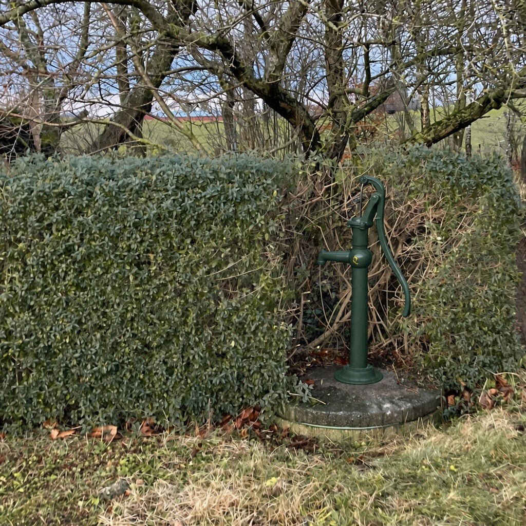 Manuelle Hofpumpe aus Gusseisen für Brunnen und Tank - Qvesarum grün