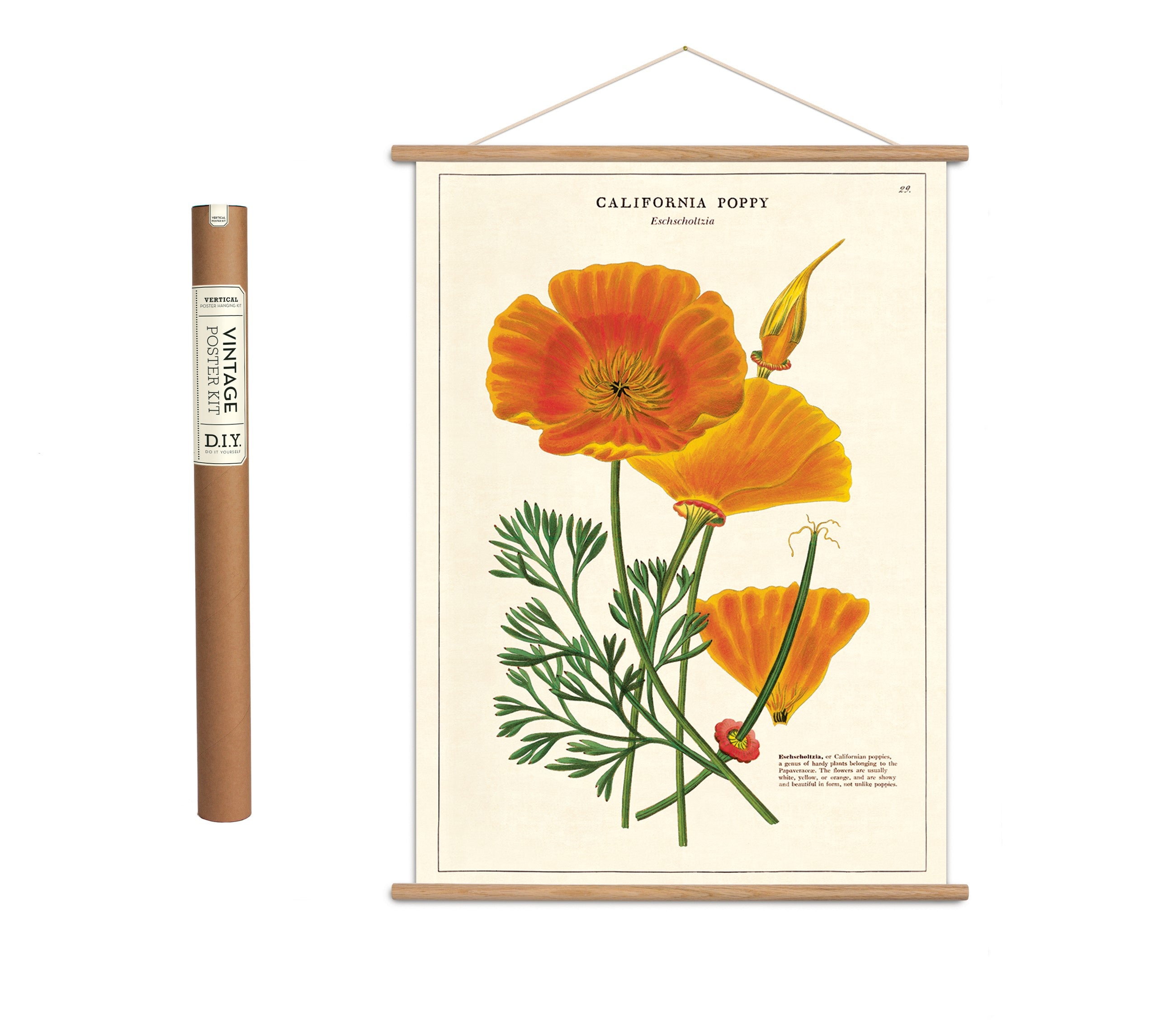 Vintage plakatsæt 'California Poppy'