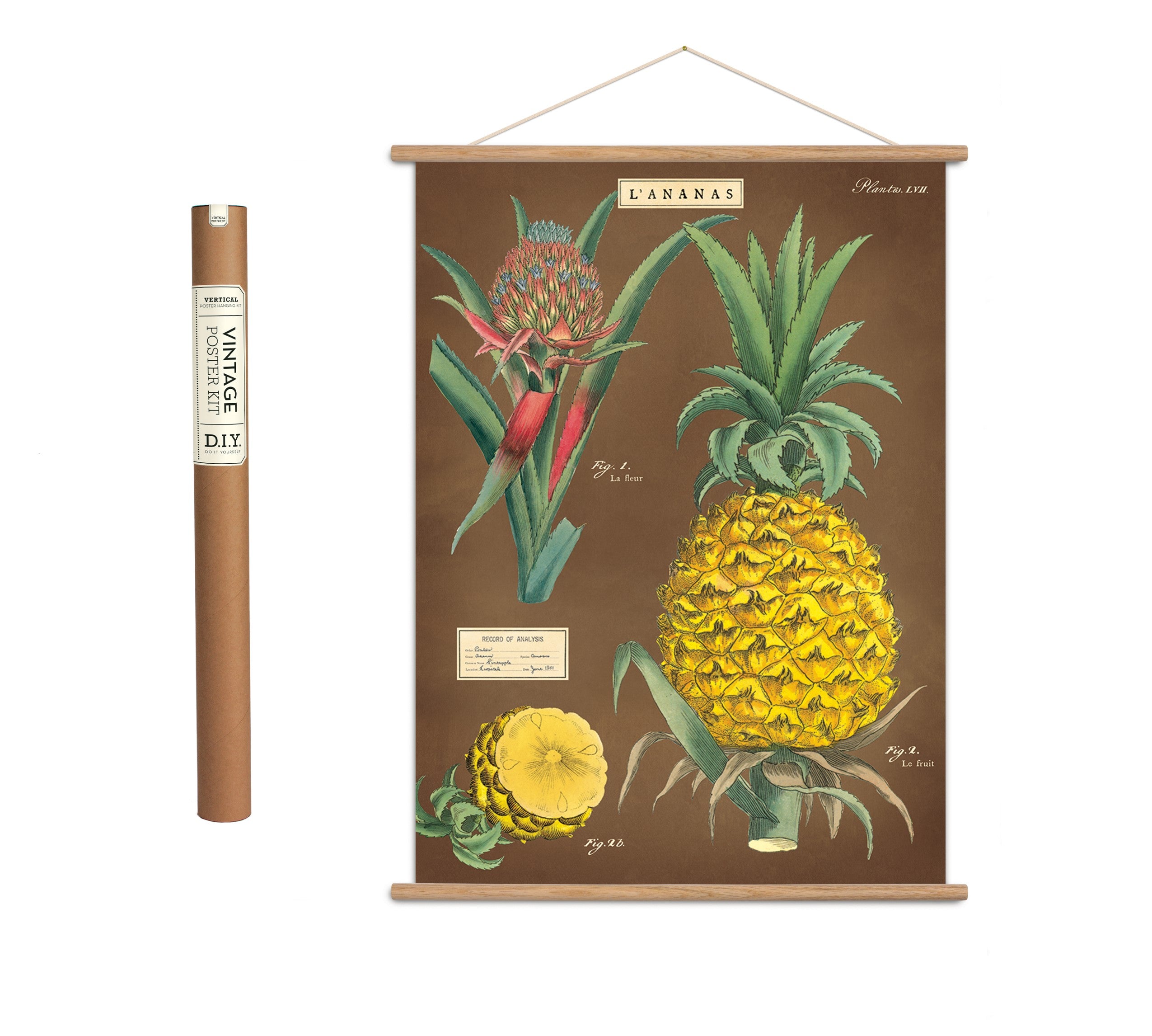 Vintage plakatsæt 'Ananas'